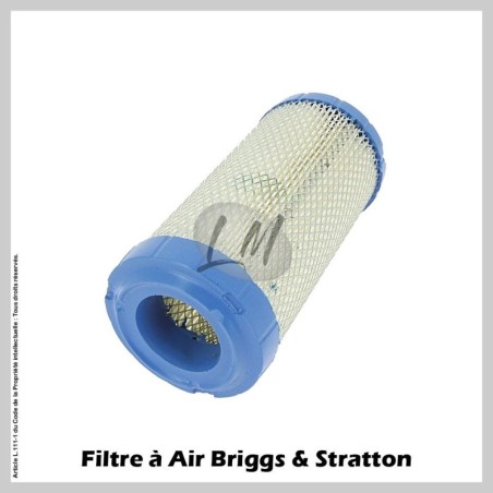 Filtre à Air Briggs & Stratton - 820263