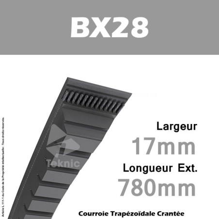 Courroie BX28 - Continental