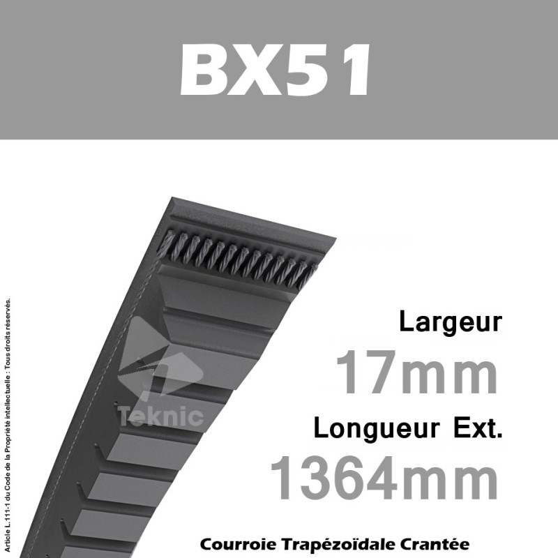 Courroie BX51 - Continental