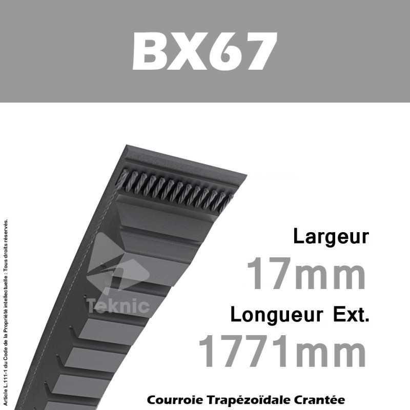 Courroie BX67 - Continental