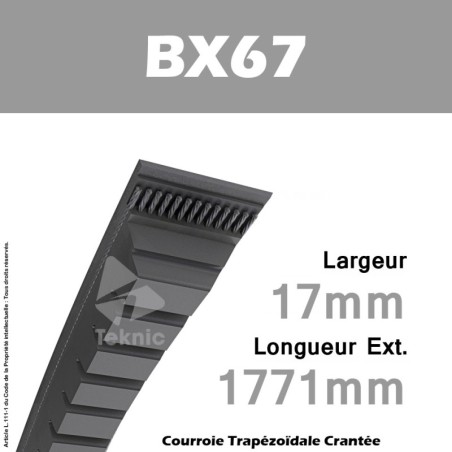 Courroie BX67 - Continental