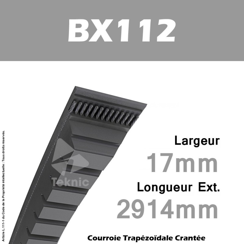 Courroie BX112 - Continental