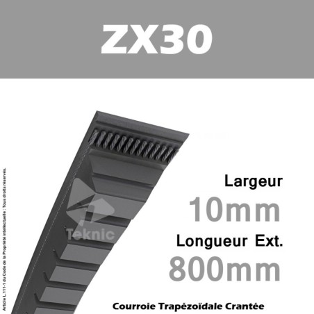 Courroie ZX30 - Continental