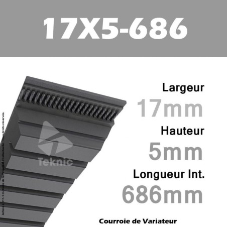 Courroie de Variateur 17X5-686 Li - W16/710