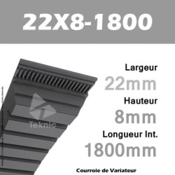 Courroie de Variateur 22X8-1800 Li