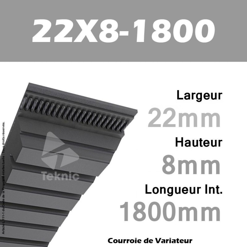 Courroie de Variateur 22X8-1800 Li