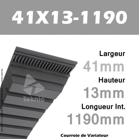 Courroie de Variateur 41X13-1190 Li - W40/1250