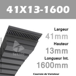 Courroie de Variateur 41X13-1600 Li - W40/1660