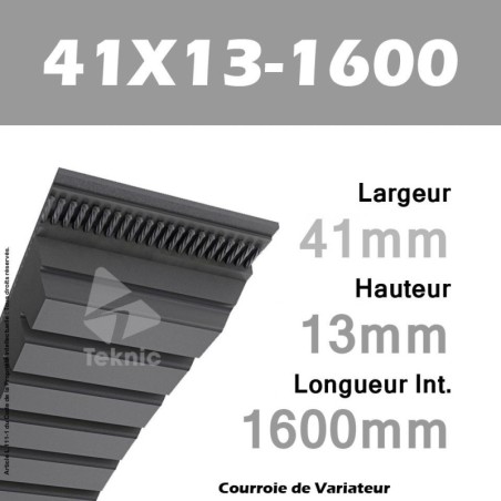Courroie de Variateur 41X13-1600 Li - W40/1660
