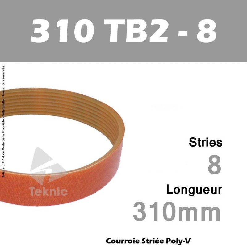 Courroie Striée 310 TB2 8 stries