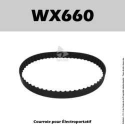 Courroie Ponceuse Worx WX660 - CE154