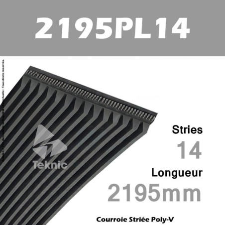 Courroie Poly-V 2195PL14