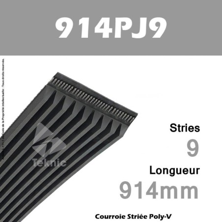 Courroie Poly-V 914PJ9